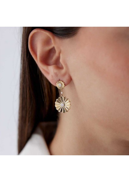 Çark Sallantı Küpe