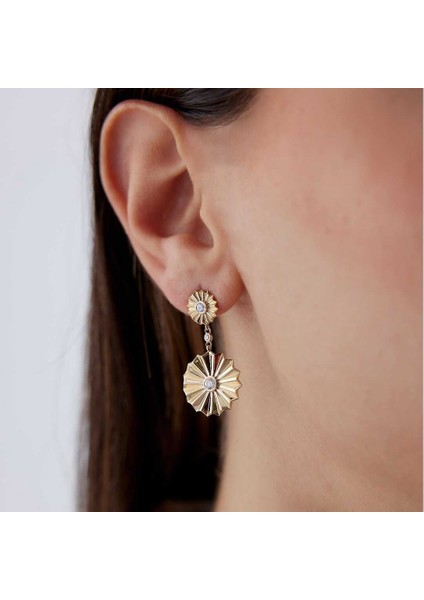 Çark Sallantı Küpe fiyatları