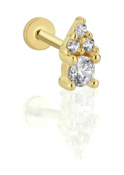 Taşlı Ayıcık Tragus Piercing