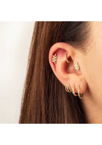Zeytin Dalı Tragus Piercing