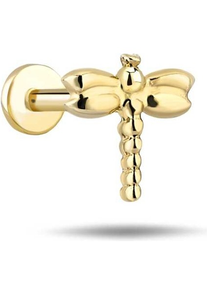 Yusufçuk Tragus Piercing