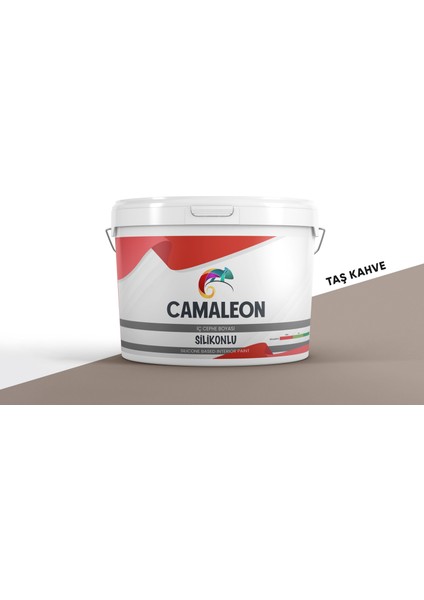 Tam Silinebilir Antibakteriyel Kir Tutmayan Duvar Boyası