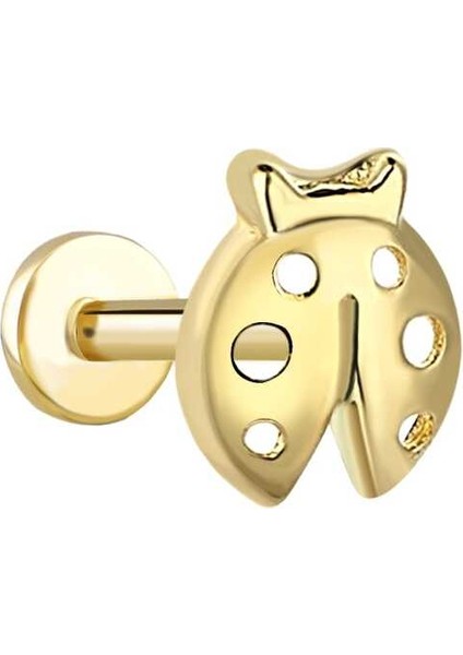 Uğur Böceği Tragus