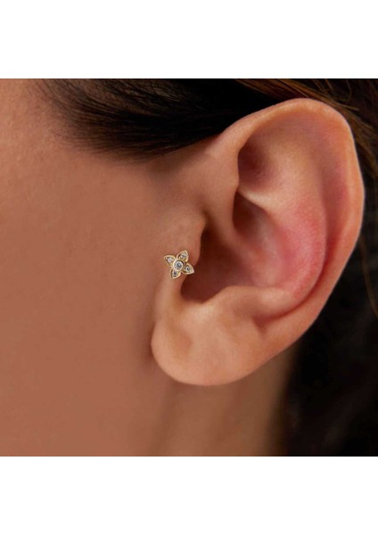 Çiçek Tragus