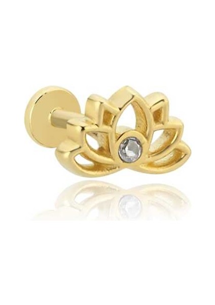 Tektaş Lotus Tragus