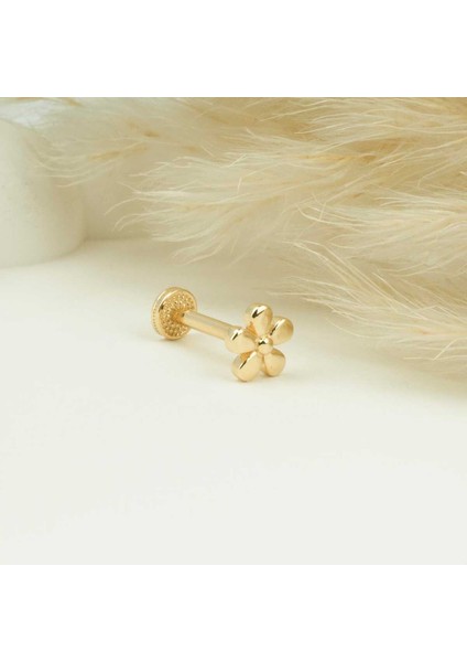 Çiçek Motifli Minimal Tragus Piercing fiyatları