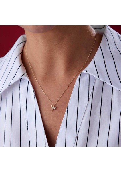 Taşlı Yusufçuk Koyle