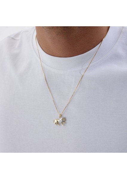 Minimal Aslan Erkek Kolye fiyatları