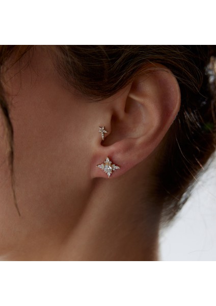 Taşlı Zarafet Küpe fiyatları