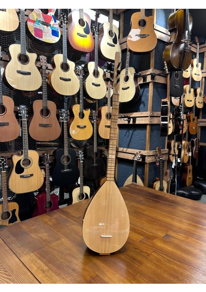 Uzun Sap Profesyonel Ceviz Cura 29 Tekne Jak Girişli fiyatları