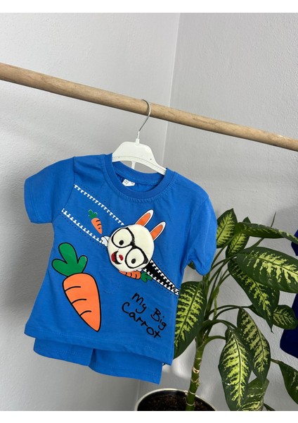Baskılı Erkek Bebek Yazlık Takım fiyatları