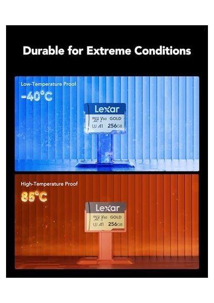 Gold 256GB Mikro Sd Kart, Microsdxc Uhs-Iı Bellek Kartı, V60, U3, A1, C10 Microsd Kart, 280MB/S'YE Kadar Okuma, Drone/aksiyon Kamerası/uhs-Iı Taşınabilir Oyun Cihazı Için (LMSGOLD256G-BNNNG) fiyatları