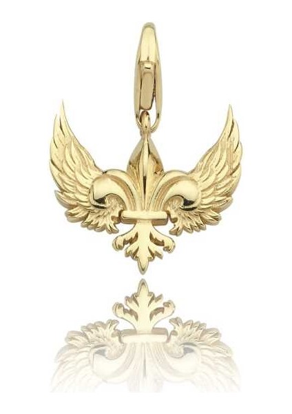 Kuş Kanadı Charm
