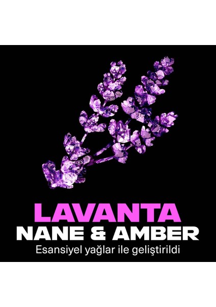 Premium Collection Erkek Sprey Deodorant Blue Lavender 72 Saat Ferahlık 150 ml X2 indirimleri