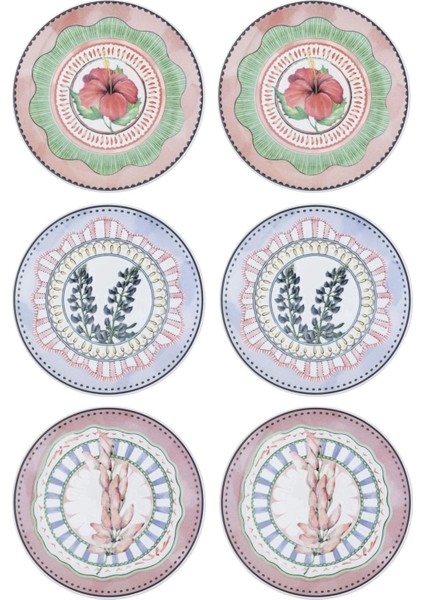 Spring Pasta Tabağı 6lı Set 19 cm SPR0002