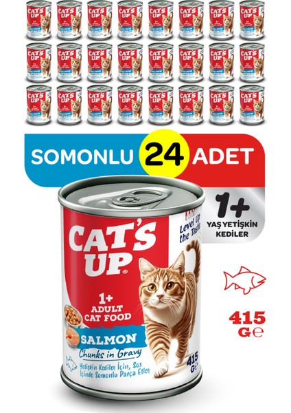 Cats Up Yaş Yetişkin Kedi Maması Somonlu 415GR 24LÜ