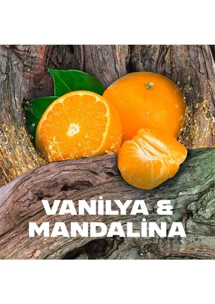 Erkek Roll On Deodorant Africa 48 Saat Etkileyici Koku 50 ml fırsatları