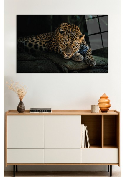 Siyah Fonda Leopar Portresi Cam Tablo, Darbelere Dayanıklı Kırılmaz Cam, Hediyelik