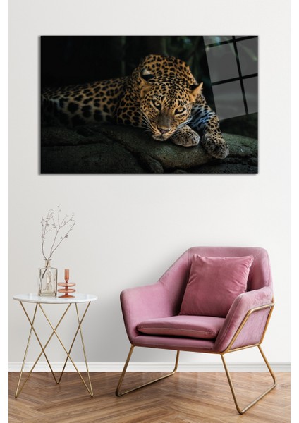 Siyah Fonda Leopar Portresi Cam Tablo, Darbelere Dayanıklı Kırılmaz Cam, Hediyelik fiyatları