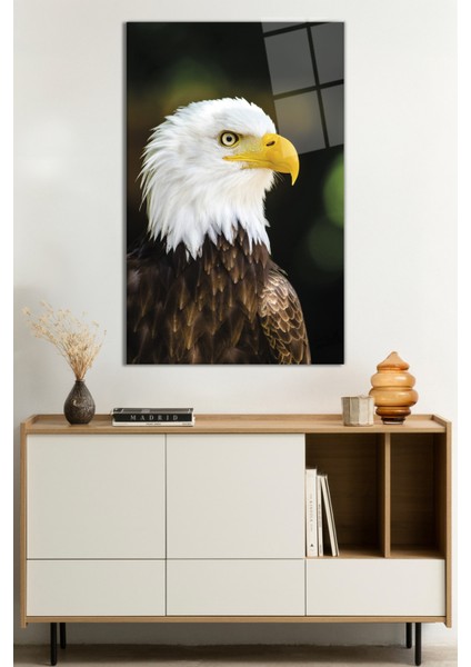 Kartal Hayvan Portresi Vahşi Doğa Manzarası Cam Tablo, Darbelere Dayanıklı Kırılmaz Cam, Hediyelik