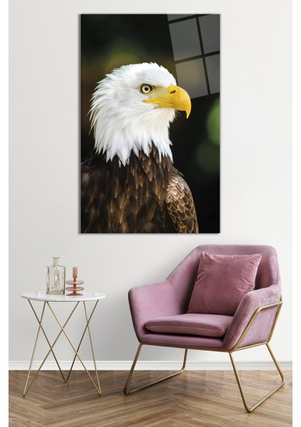 Kartal Hayvan Portresi Vahşi Doğa Manzarası Cam Tablo, Darbelere Dayanıklı Kırılmaz Cam, Hediyelik fiyatları