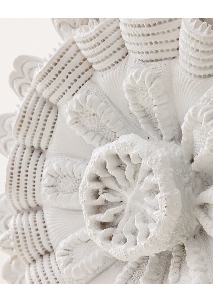 Shelly Duvar Aksesuarı - Beyaz