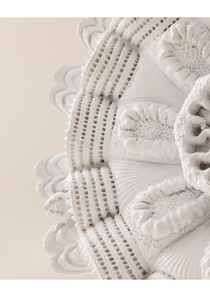 Shelly Duvar Aksesuarı - Beyaz