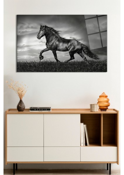 At Portresi Vahşi Doğa Manzarası Cam Tablo, Darbelere Dayanıklı Kırılmaz Cam, Hediyelik