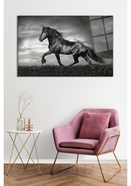 At Portresi Vahşi Doğa Manzarası Cam Tablo, Darbelere Dayanıklı Kırılmaz Cam, Hediyelik fiyatları