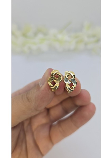 14 Ayar Altın Kaplama Zirkon Taşlı Kadın Küpe – Zarif ve Işıltılı (M29)