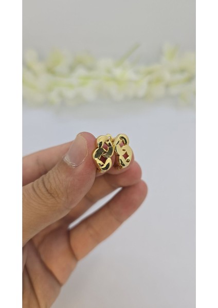 14 Ayar Altın Kaplama Zirkon Taşlı Kadın Küpe – Zarif ve Işıltılı (M29) fiyatları