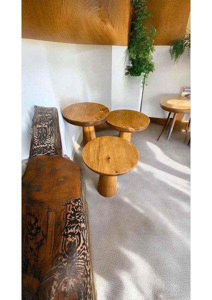 Tik Ağacı Renk Masif Ahşap Mantar Sehpa 3’lü Takım – Zigon ve Fiskos Sehpa modelleri