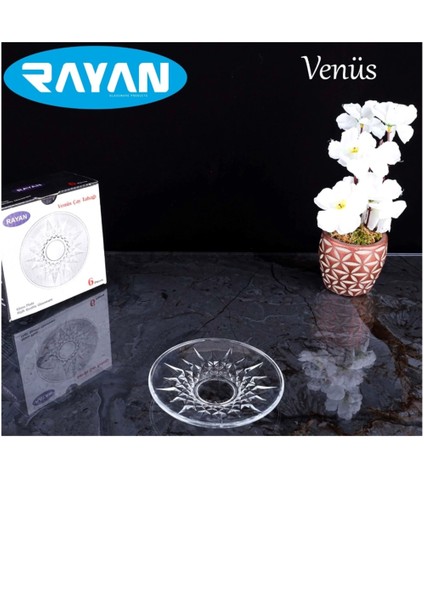 Venüs Çay Tabağı 6'lı -81731