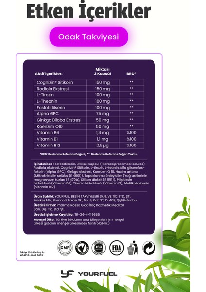 MindStrike | Cognizin® Sitikolin İçerikli | B1, B6 ve B12 Vitaminli Takviye | 40 Kapsül | 20 Günlük fırsatları