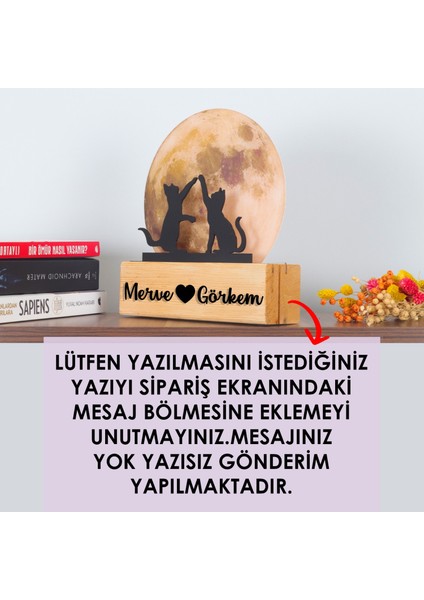 LED Işıklı Pleksi Dolunay Kişiselleştirilebilir Dekoratif Biblo Harvey Kediler Anahtar Askılığı modelleri
