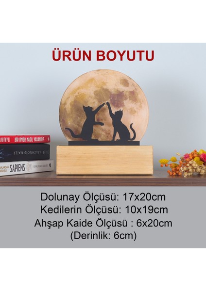 LED Işıklı Pleksi Dolunay Kişiselleştirilebilir Dekoratif Biblo Harvey Kediler Anahtar Askılığı indirimleri