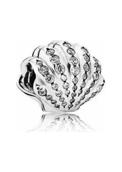 Deniz Kabuğu Charm fiyatları