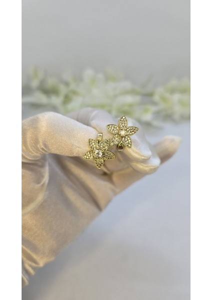 14 Ayar Altın Kaplama Zirkon Taşlı Kadın Küpe – Zarif ve Işıltılı (M1)