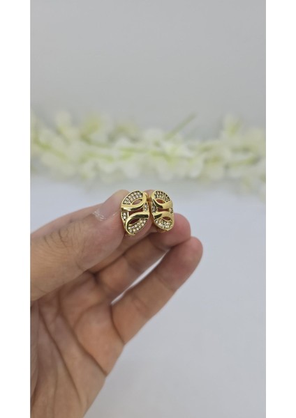 14 Ayar Altın Kaplama Zirkon Taşlı Kadın Küpe – Zarif ve Işıltılı (M26) fiyatları