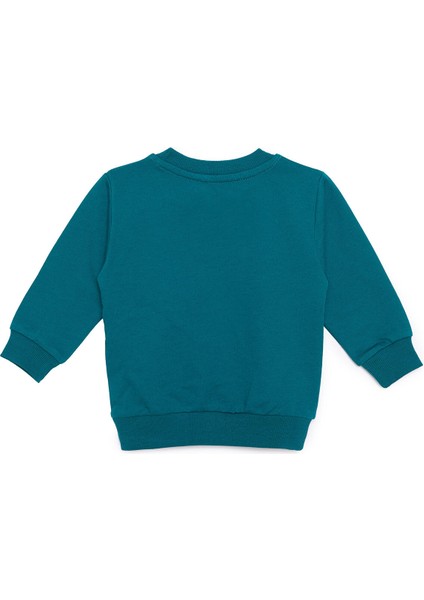 Müzikli Dinazor Baskılı Sweatshirt Erkek Bebek fiyatları