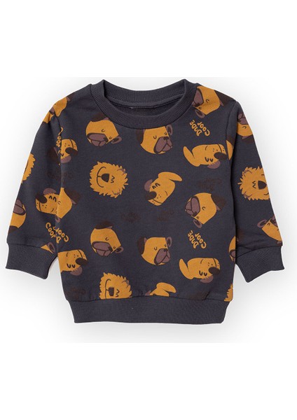 Köpek Desenli Sweatshirt Erkek Bebek