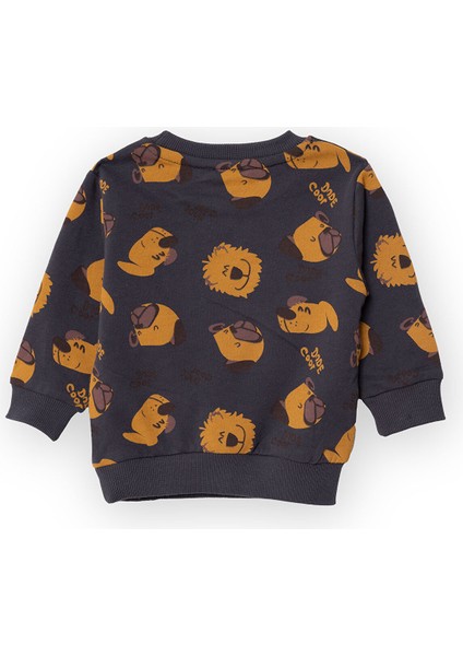 Köpek Desenli Sweatshirt Erkek Bebek fiyatları