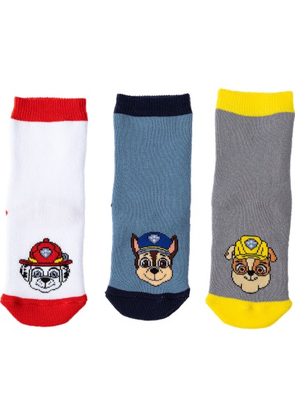 Paw Patrol - Nıckelodeon Hellobaby 3lü Havlu Çorap
