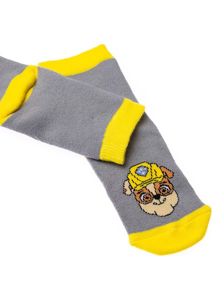 Paw Patrol - Nıckelodeon Hellobaby 3lü Havlu Çorap modelleri