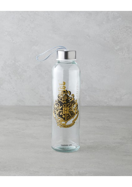 Harry Potter Cam Lisanslı Şişe 500 ml Renkli
