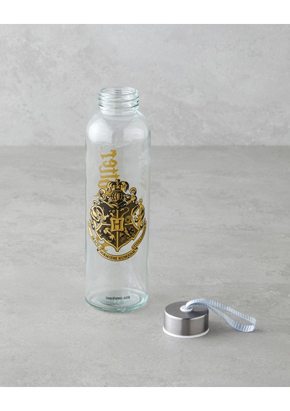 Harry Potter Cam Lisanslı Şişe 500 ml Renkli fiyatları