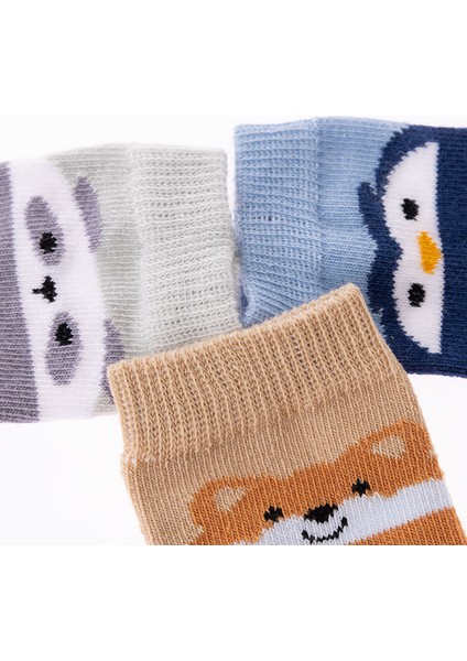 Erkek Bebek 3lü Soket Çorap modelleri