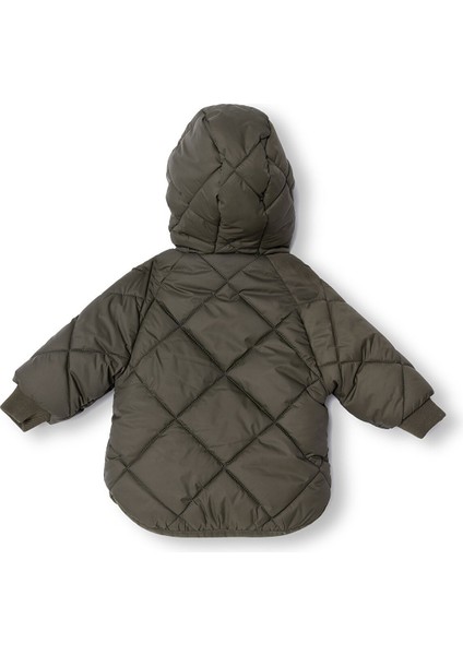 Basic Mont modelleri