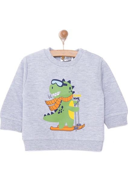 Basic Az Şardonlu Dinozor Desenli Sweatshirt Erkek Bebek
