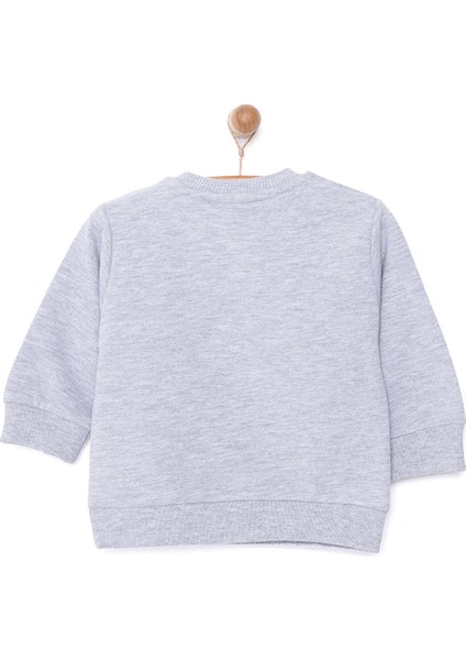 Basic Az Şardonlu Dinozor Desenli Sweatshirt Erkek Bebek fiyatları